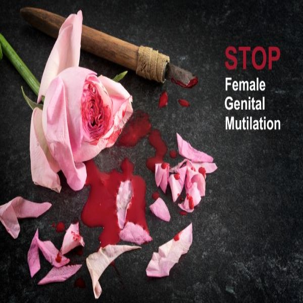 Female Genital Mutilation Level 1 Childminders